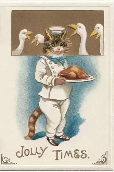 Cat & Roast Turkey
