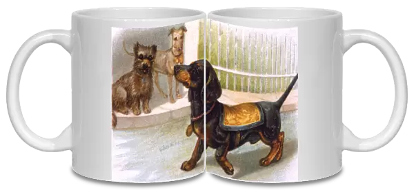 Dachshund dog wearing a coat