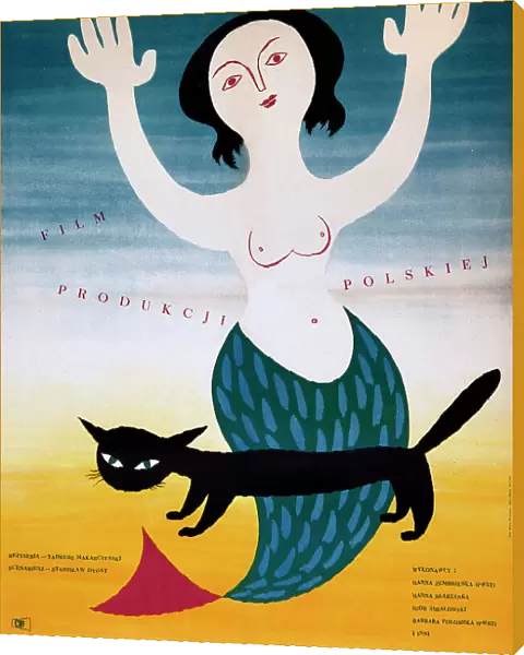 Polish poster for a film, The Warsaw Mermaid