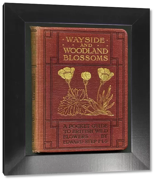 Book cover, Wayside and Woodland Blossoms