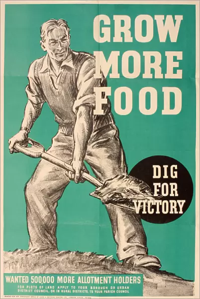 Poster, Dig for Victory, Grow More Food, WW2