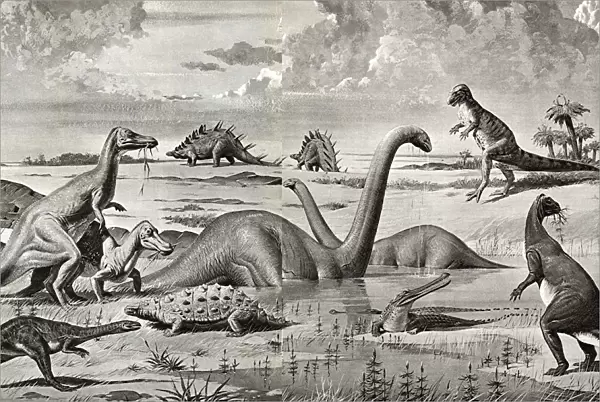 Dinosaurs of the Mesozoic Era - China
