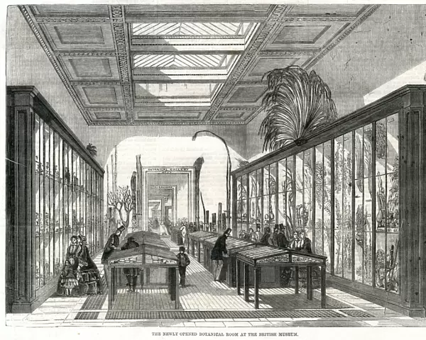 Botanical room, British Museum 1858