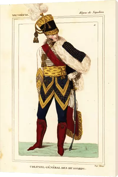 Colonel-General in the French Hussars, Napoleonic era