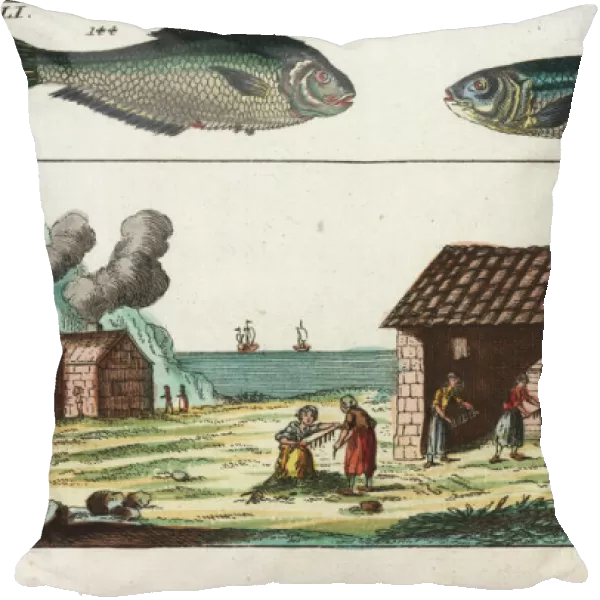 Sardine, ilisha, and sardine smokehouse