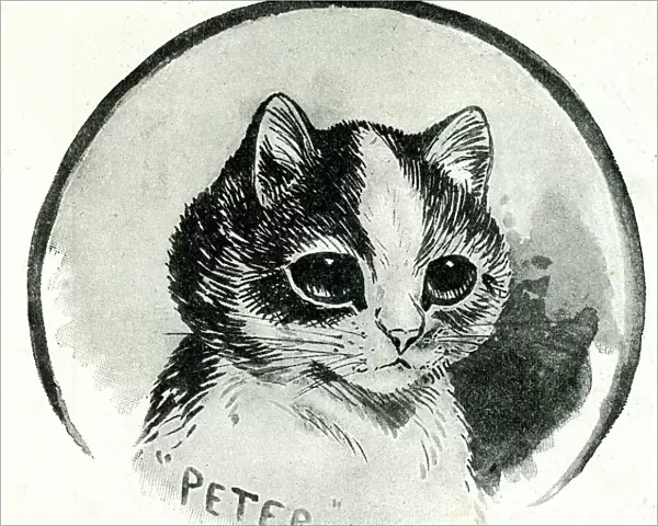Peter the Cat by Louis Wain