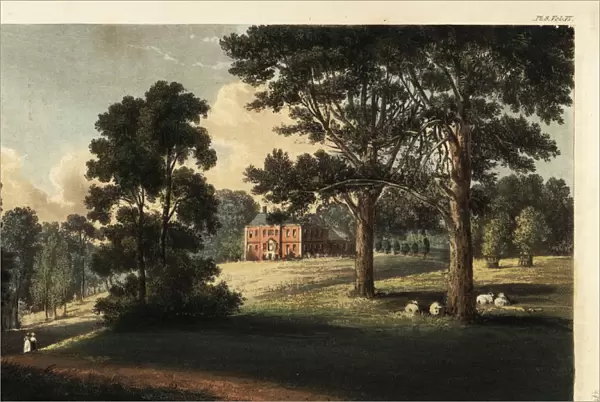 Pynes House, Exeter, Devon, 1825