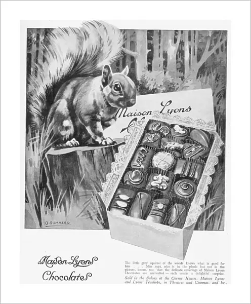 Advert for Maison Lyons chocolate, 1925