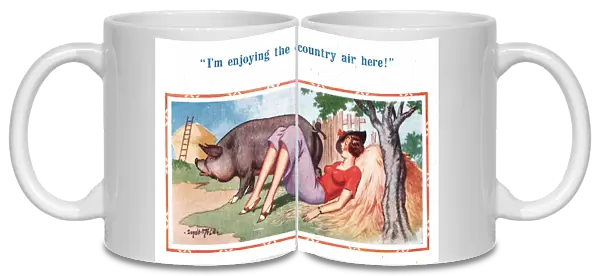 Comic postcard, Pretty young woman and pig