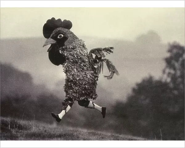 English Lunacy - A man dressed as a chicken running wild and free across a field and up a small hill
