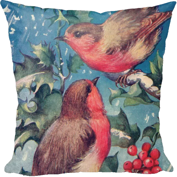 Robins. Christmas. Two robins on a holly bough. Date: circa 1912