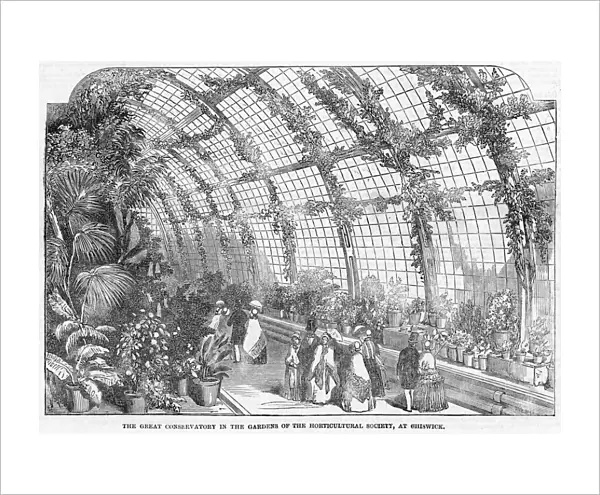 Horticultural Society conservatory, Chiswick, London