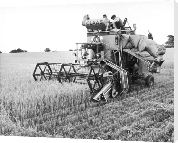Harvesting barley with a combine harvester, Suffolk