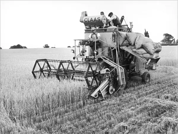 Harvesting barley with a combine harvester, Suffolk