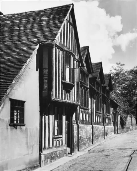 Timbered Houses