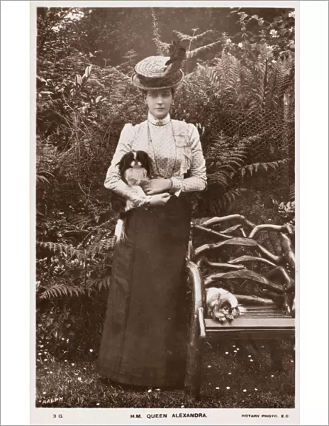 Queen Alexandra & Dogs