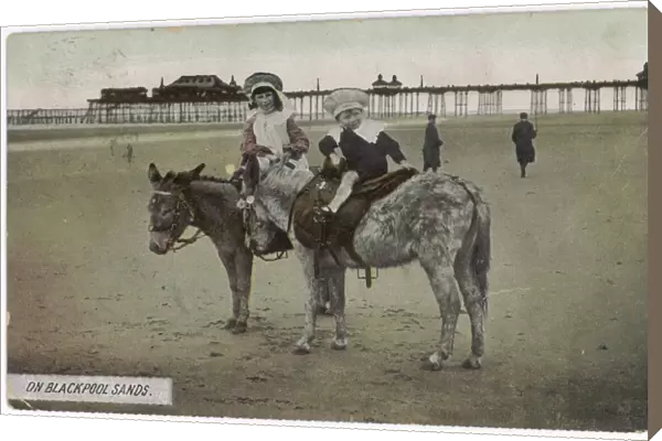 Donkeys at Blackpool
