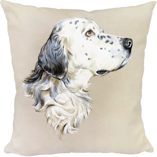 Portrait painting of an English Setter Dog