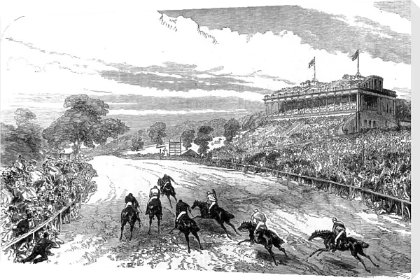 The Alexandra Park Races, 1868