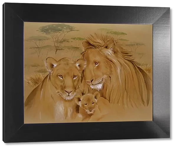 A family of lions