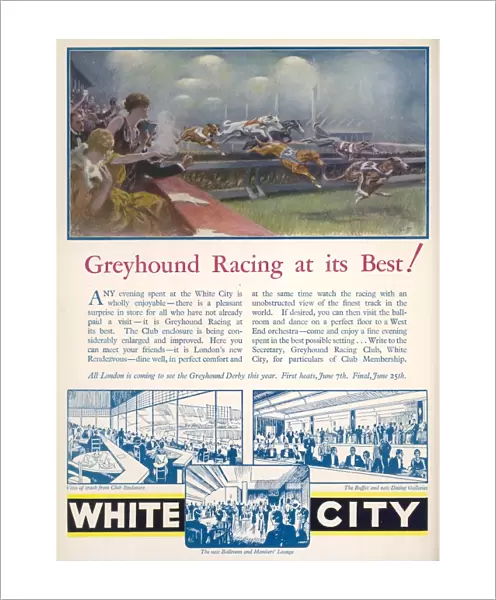 Greyhound Racing Advertisement