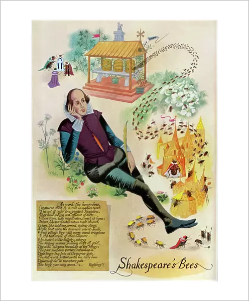 Shakespeares Bees by Pauline Baynes