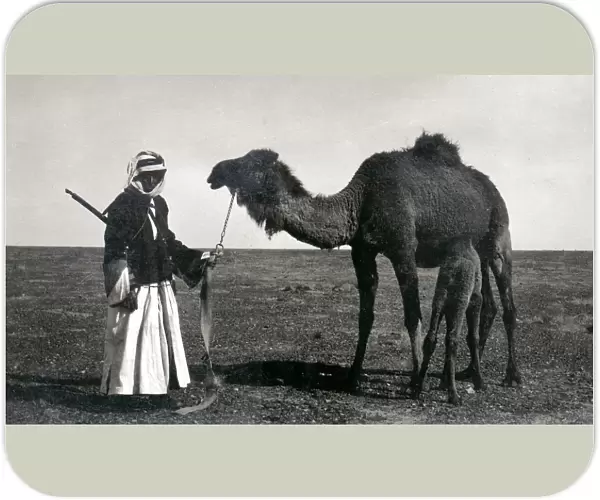 Bedouin man with camels and rifle, Middle East