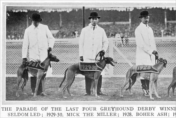 Four Greyhound Derby winners