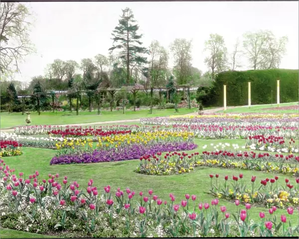 Gardens at Tewin, Hertfordshire