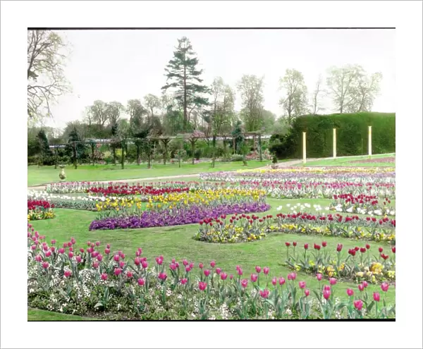 Gardens at Tewin, Hertfordshire