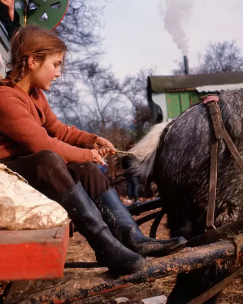 Gipsy girl plaiting horses tail at an encampment in Surrey