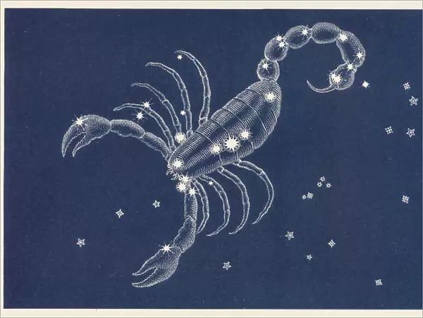 Scorpio. The Constellation Scorpio
