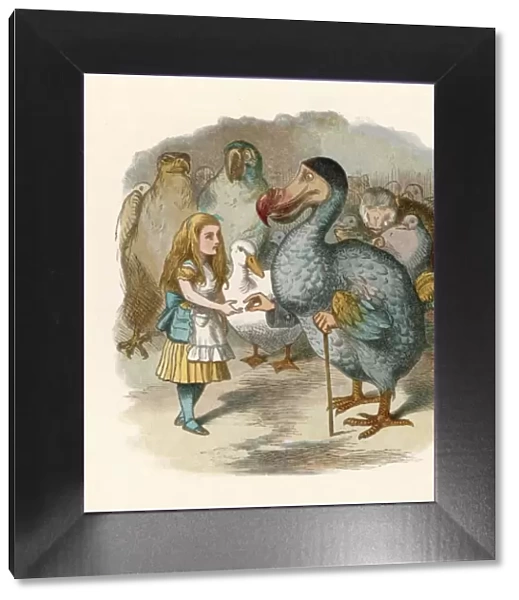 Carroll  /  Alice & the Dodo