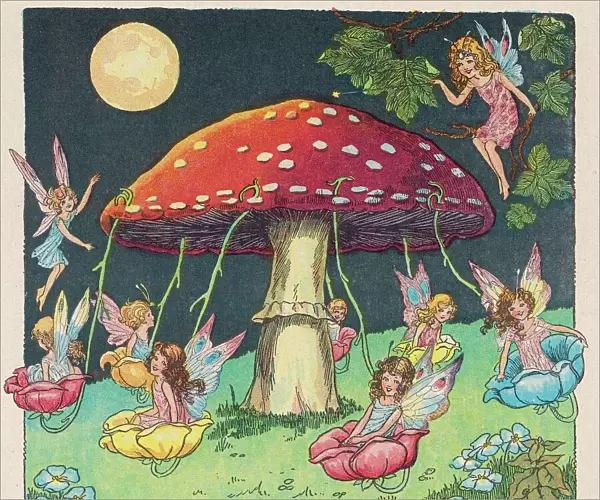 Fairies Merry Go Round