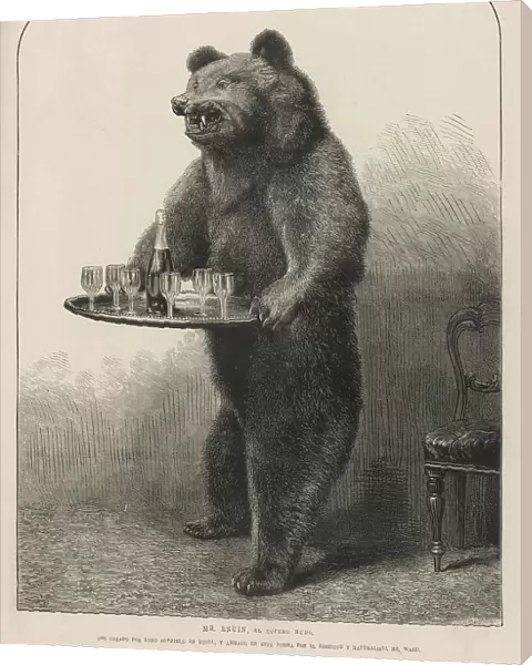Bear Waiter