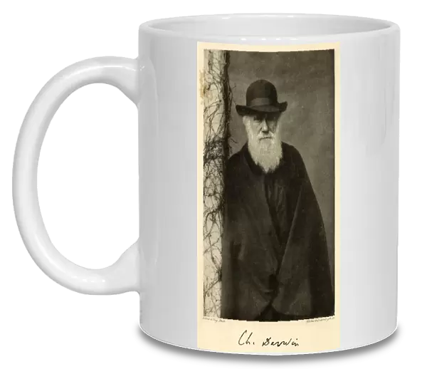 Charles Darwin  /  Column