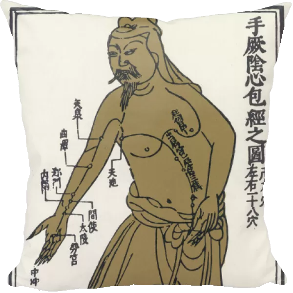 Chinese Acupuncture Char