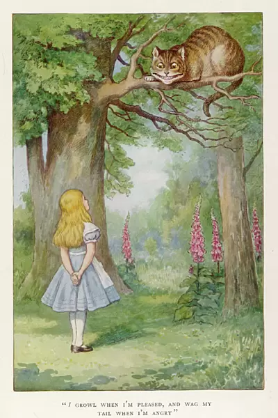 Cheshire Cat  /  Tree