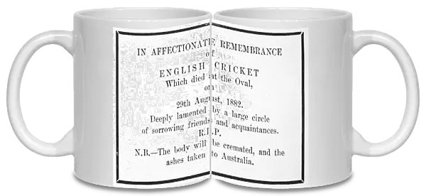 Sport  /  Cricket  /  Ashes