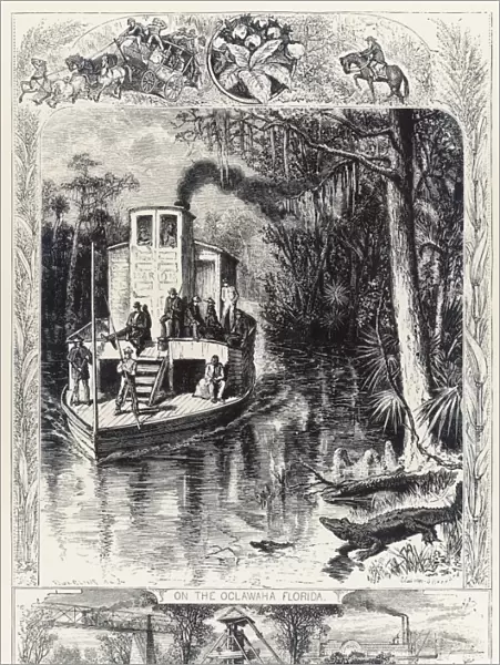 Florida Swamp  /  Steamer