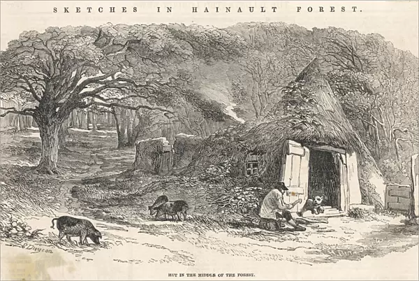 Hainault Forest  /  1851