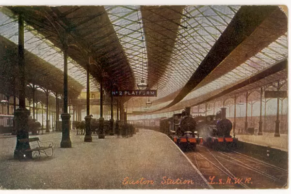 Euston Platform & Trains