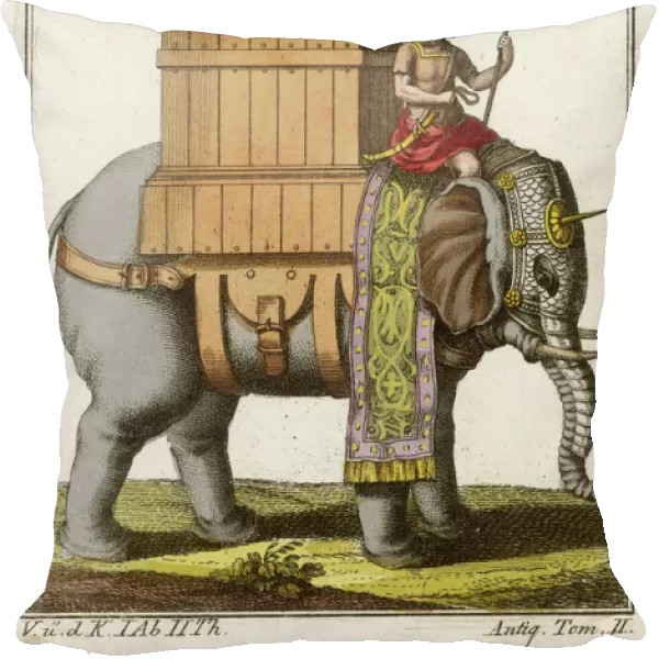 Indian Military Elephant