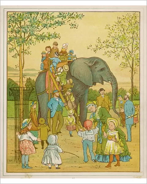 Elephant Ride 1