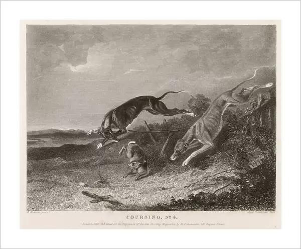 Hare Coursing 1835
