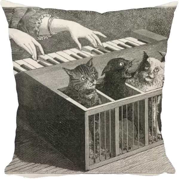 CAT PIANO. Variations on a catatonic scale : the keys are linked to the cats tails,