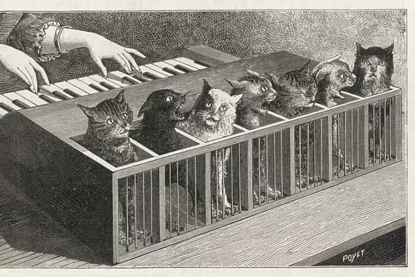 CAT PIANO. Variations on a catatonic scale : the keys are linked to the cats tails,
