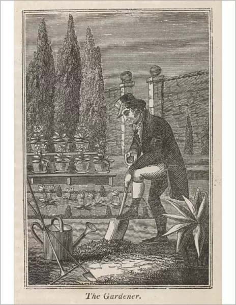 Gardening 1827