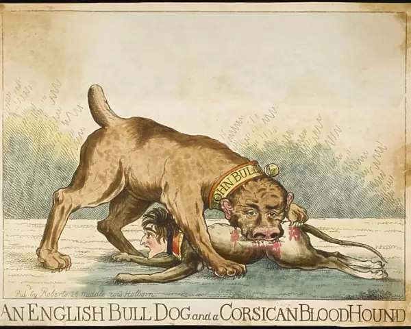 Bulldog and Bloodhound
