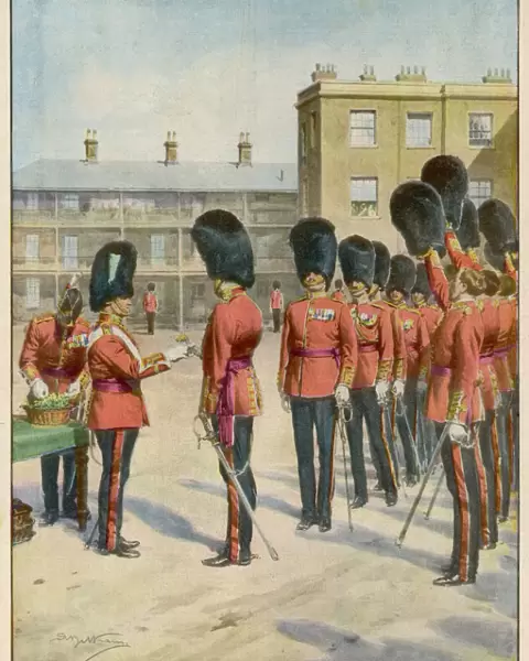 Irish Guards Shamrock